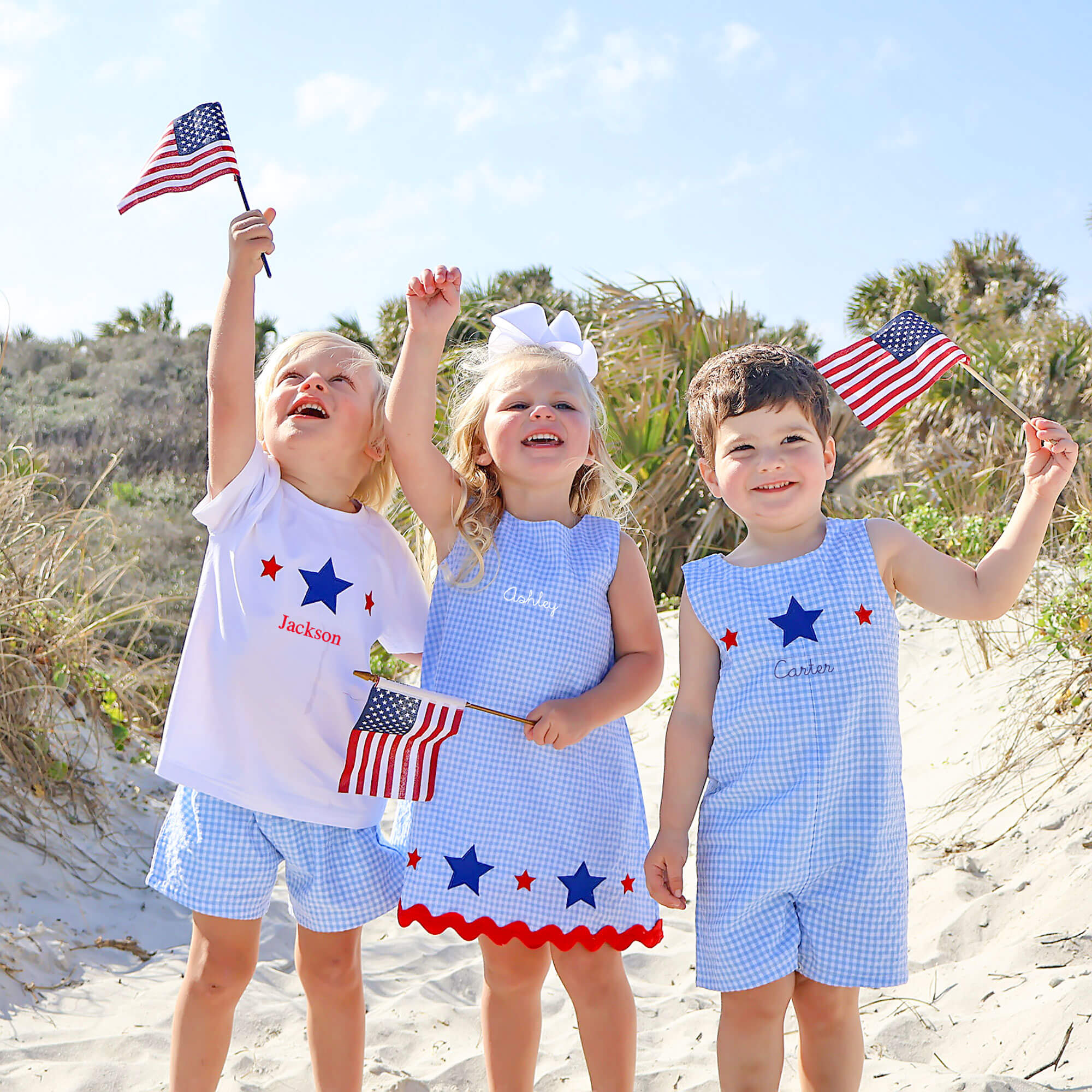 Star Spangled Light Blue Gingham Short Set - Image 5
