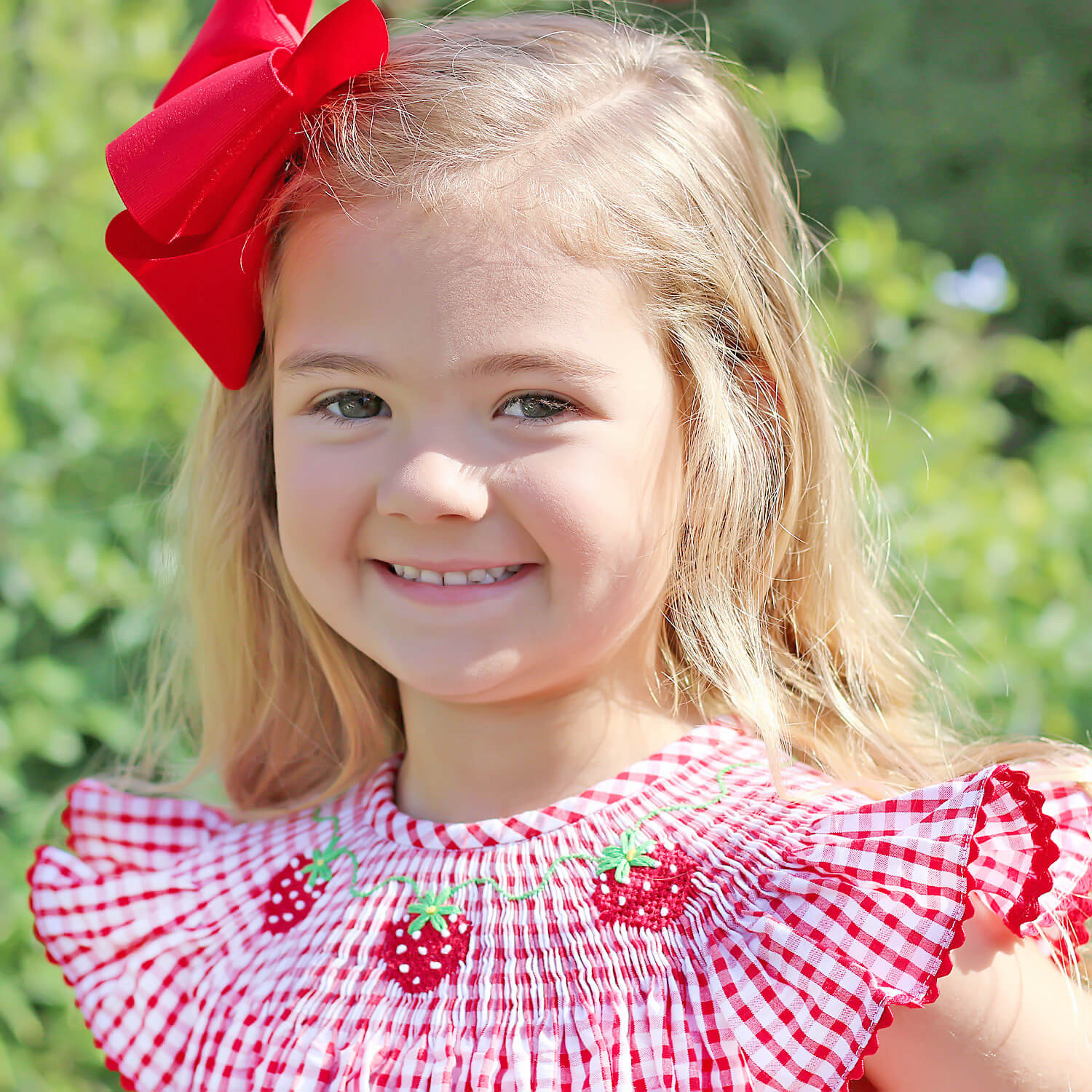 Strawberry Smocked Red Check Dress